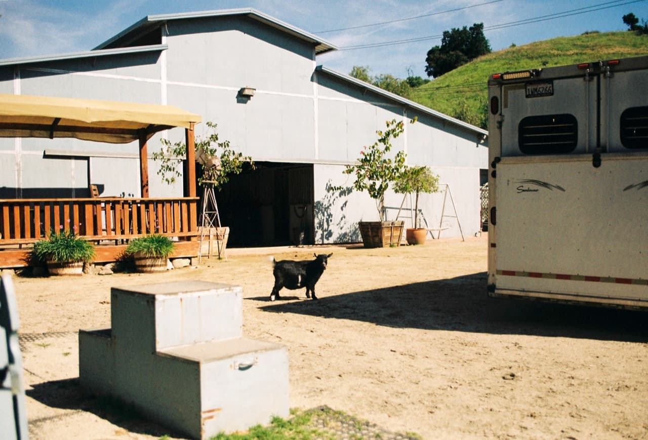 LOS ANGELES THROUGH MY LENS — 18
